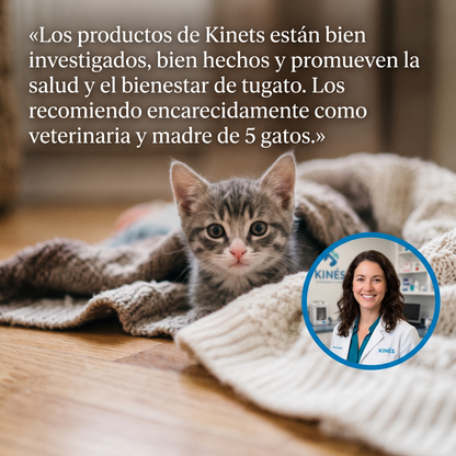 The Kinets™ - Fuente Antideshidratación